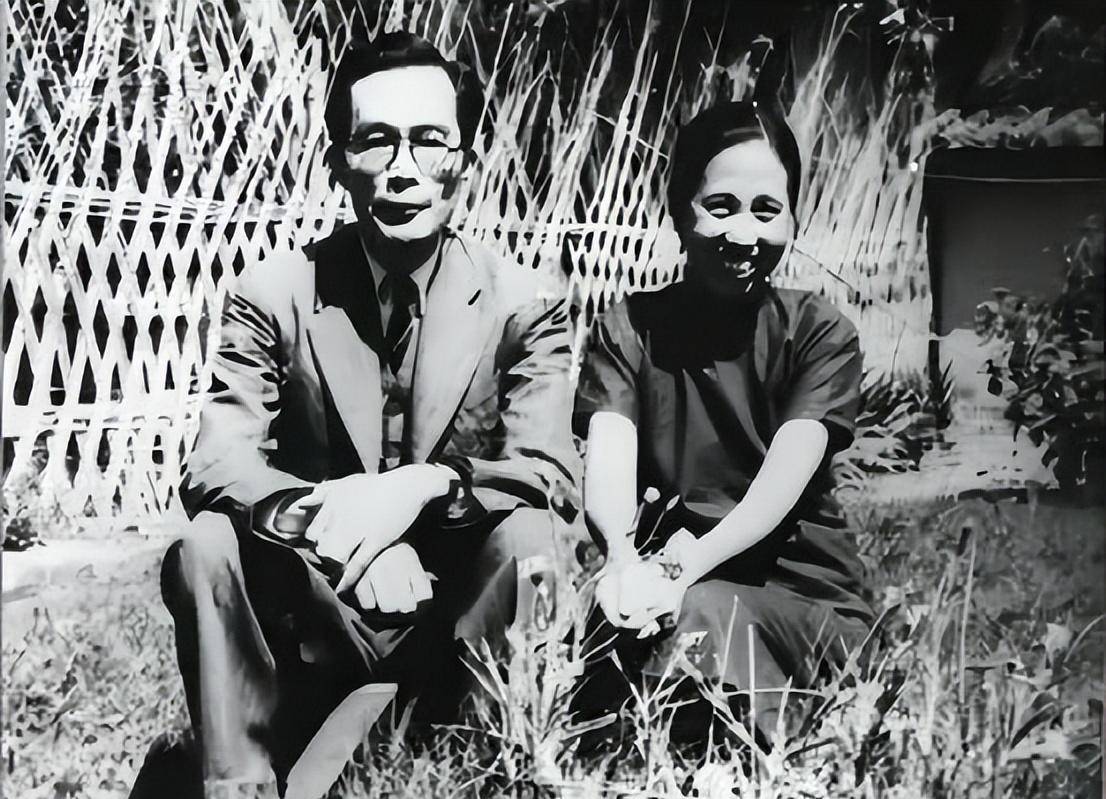 手握巨款,妻子却摆摊卖米糕维持生计_清华_华罗庚_联大