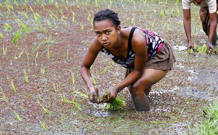 "马达加斯加"现状,非洲黄种人最多的国家,带你看看真实的地方_医疗
