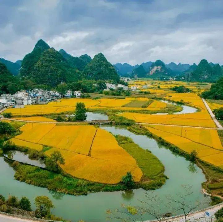 国庆出游指南 | 请千万别错过 天等的这一场秋_景区_文化_都康乡