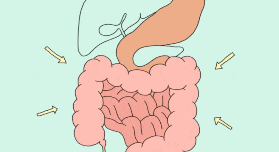 清理肠道最强的六类食物,养成这些好习惯,便秘远离你_身体_功能_情况