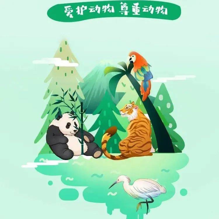 世界动物日 | 保护动物，别让它们成为“过去式”_人类_生态学家_物种