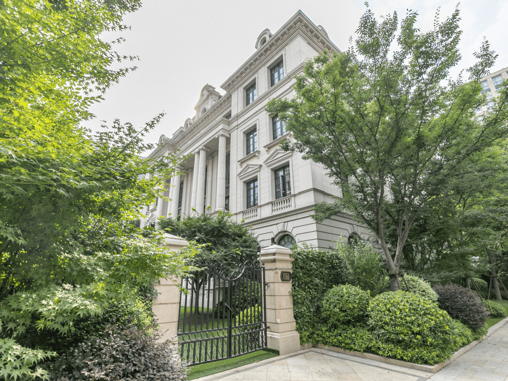 内环内 陆家嘴 法式企业独栋 | 面积1600-2500平花园别墅 | 通燃气