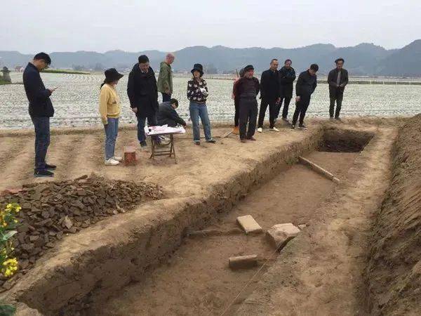 长江坝遗址位于大英县回马镇梨园村,分布在涪江右岸的台地上.