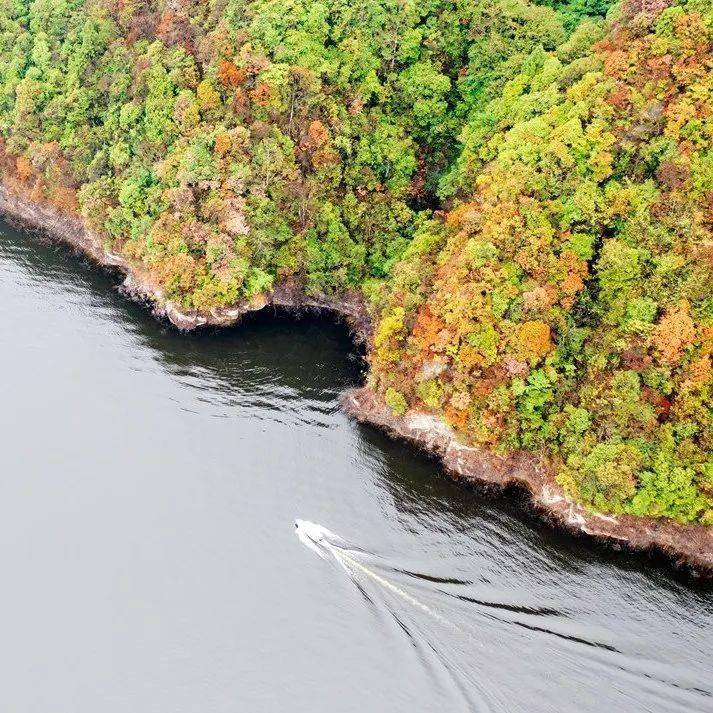 道真:金秋醉美大沙河