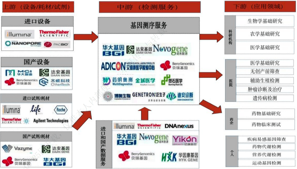 基因检测，火热的另一面