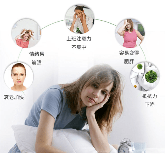 蜂眠宁胶囊,含蜂胎冻干粉,缬草,正规认证,出口欧美,延缓衰老,改善睡眠