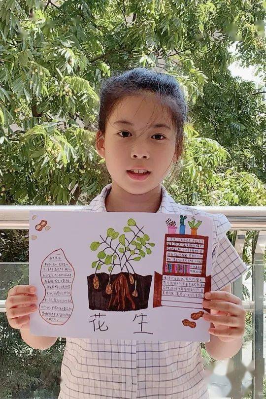 校园里的一亩三分地,花生种熟了,开吃了_活动_农庄_梦想