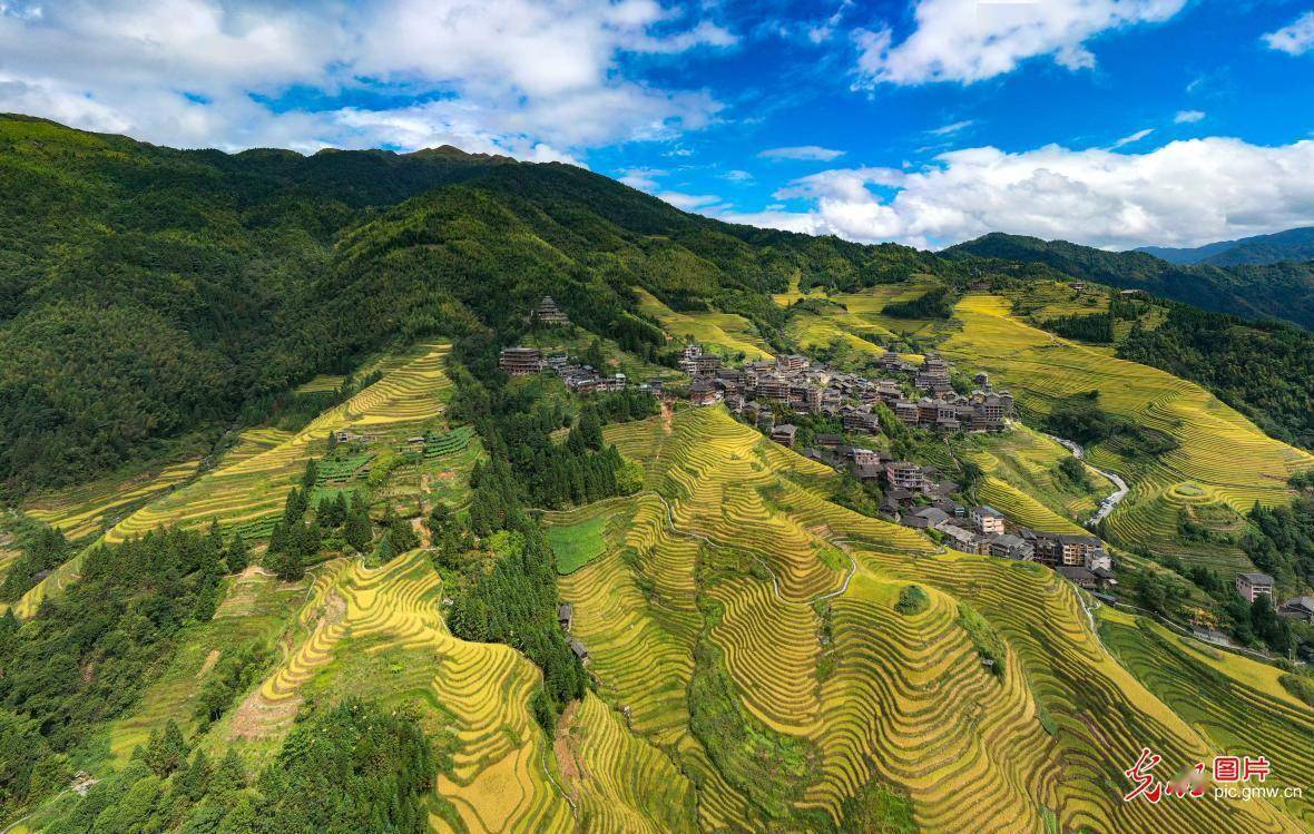 【光明图刊】空中"瞰"梯田 尽显乡村振兴美好画卷插图4