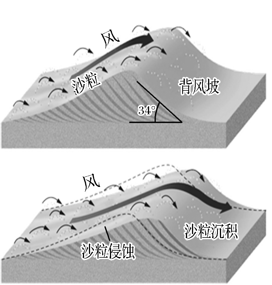 概念:沙丘是干旱地区风力吹扬的松散沙粒堆积而成的