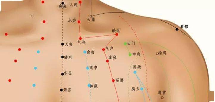 气户穴: 气喘,胸胁支满,胸痛_穴位_锁骨_气血