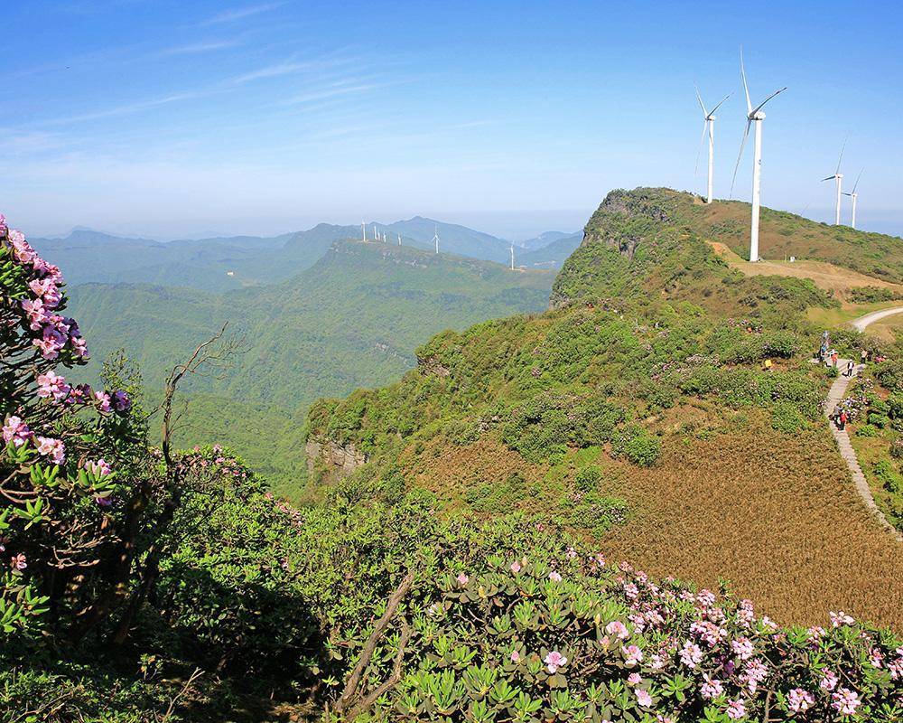 武隆鸡尾山地质公园图片