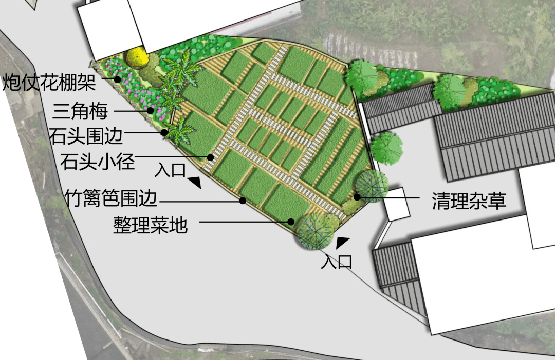 蔬菜种植手绘平面图图片