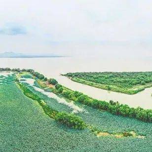 巢湖这十年｜筑“巢”引凤打造宜居宜业宜游的新巢湖_湿地_工业_公园