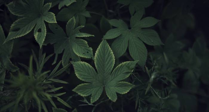 添可洗地机的危与机，生活电器的产业短板与商业陷阱-家电圈官网