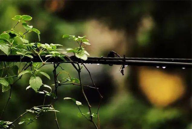 雨中情连年多次被罚：环保与安全隐患屡犯不止 