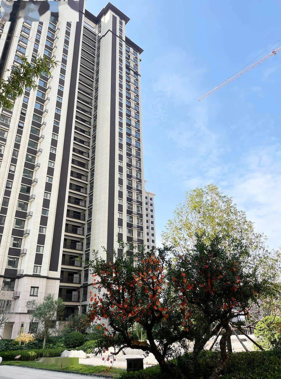 鄢陵恒达·国宾府 | 实景现房 · 一场关于美好生活的"剧透"_开发