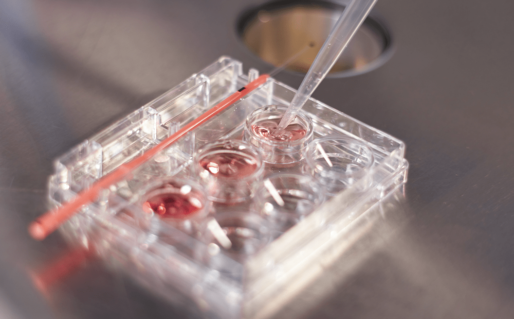 多宁生物IPO前夕突击并购：净利润虚胖 6.