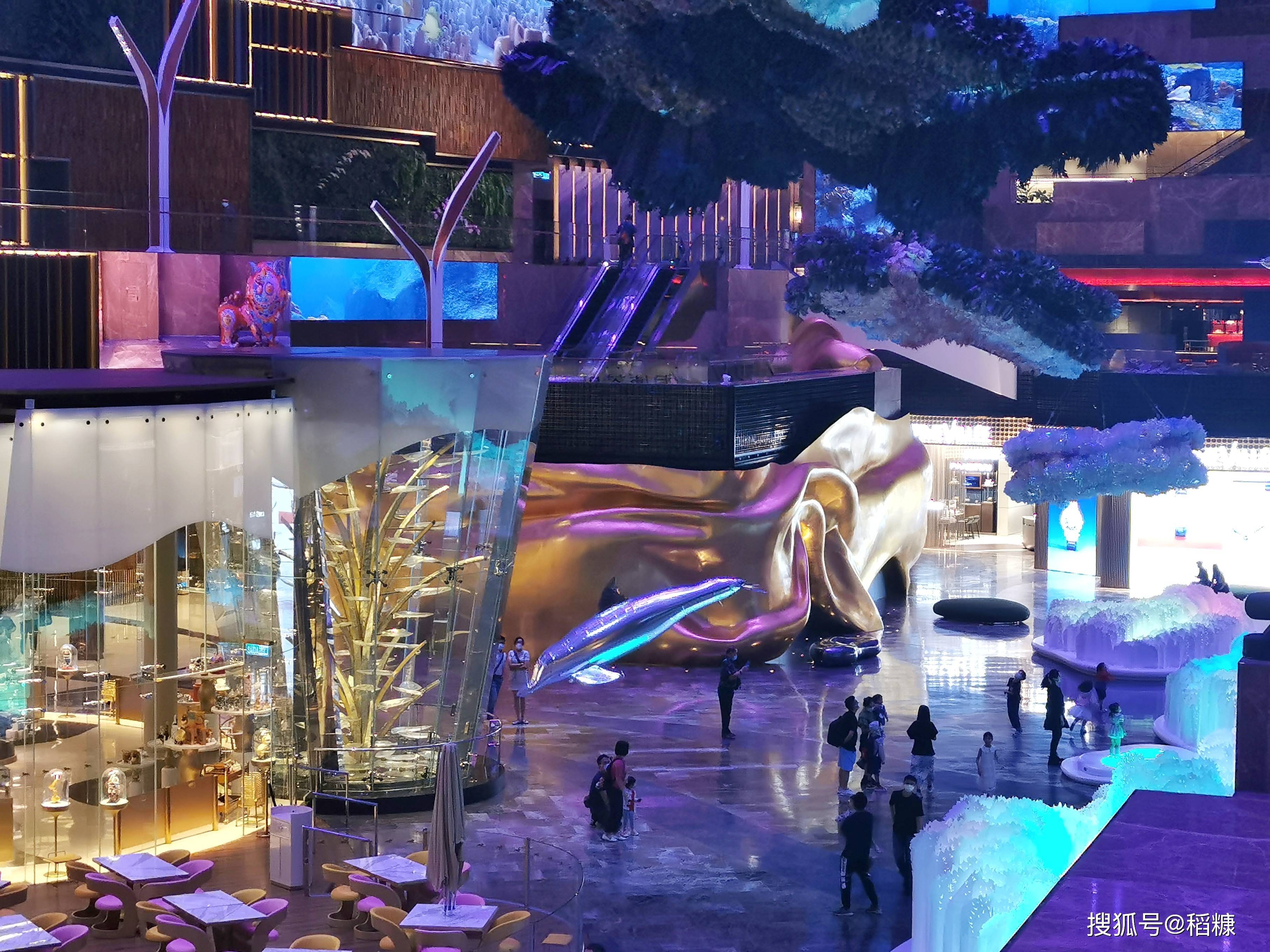 �Ƶ����ʳ������ÿ��һ�ΰ��ţ�ֵ�ã�