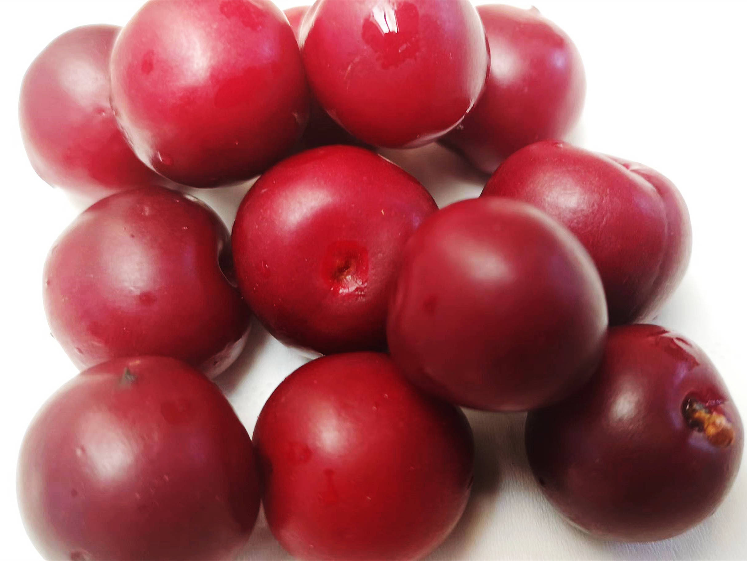 除鲜食外,欧李果肉可加工成果汁,果酒,果醋等产品,还可以对现有产品