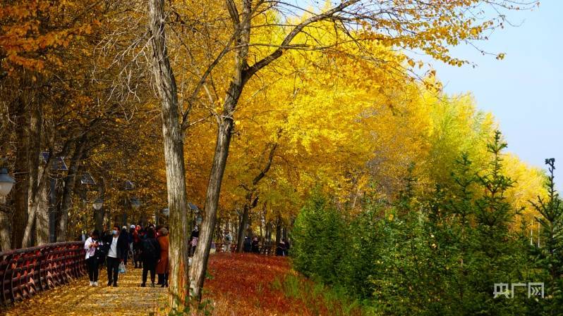 最美“青”秋 | 西宁市新增一处秋景网红打卡地