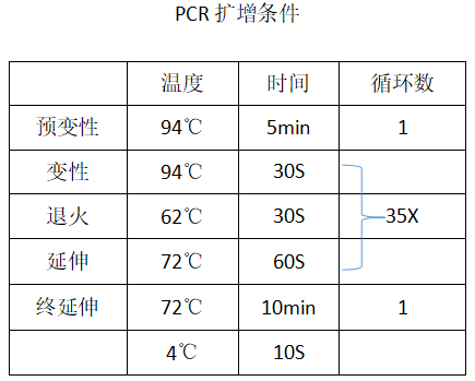 手把手教你做實驗——pcr_min_科研_rnaiso