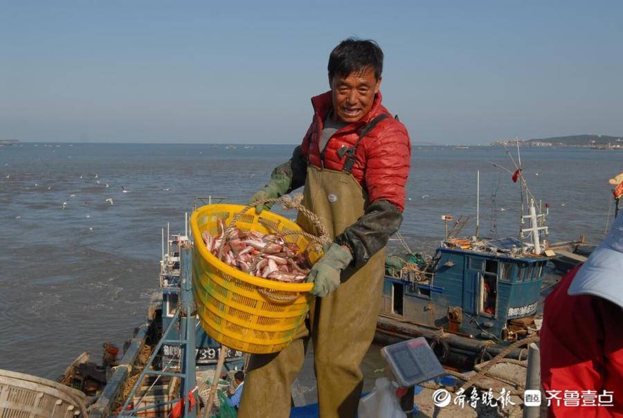 一天带回万元海货!即墨渔民迎来金秋捕捞季,出海收获鱼虾满舱_码头_渔船_山东头