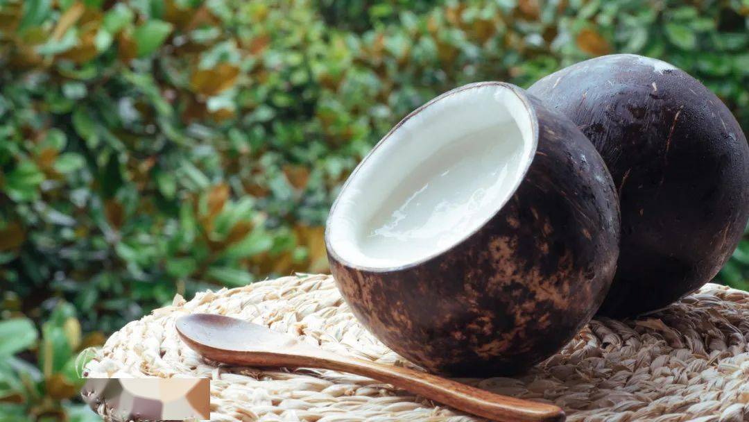 椰汁_椰肉_乌鸡