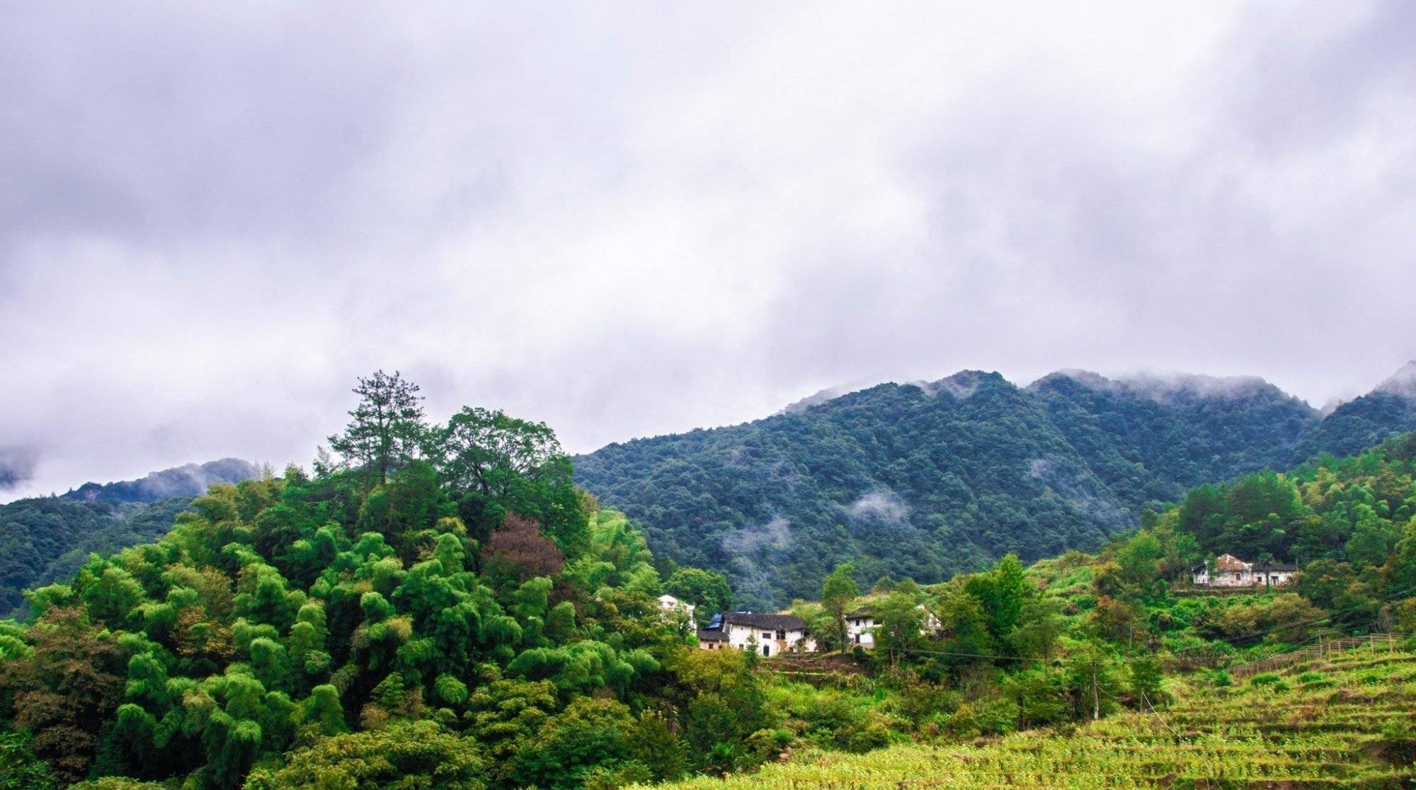 即石头牯牛降风景区和祁门牯牛降风景区,皆为国家4a级旅游景区,其中