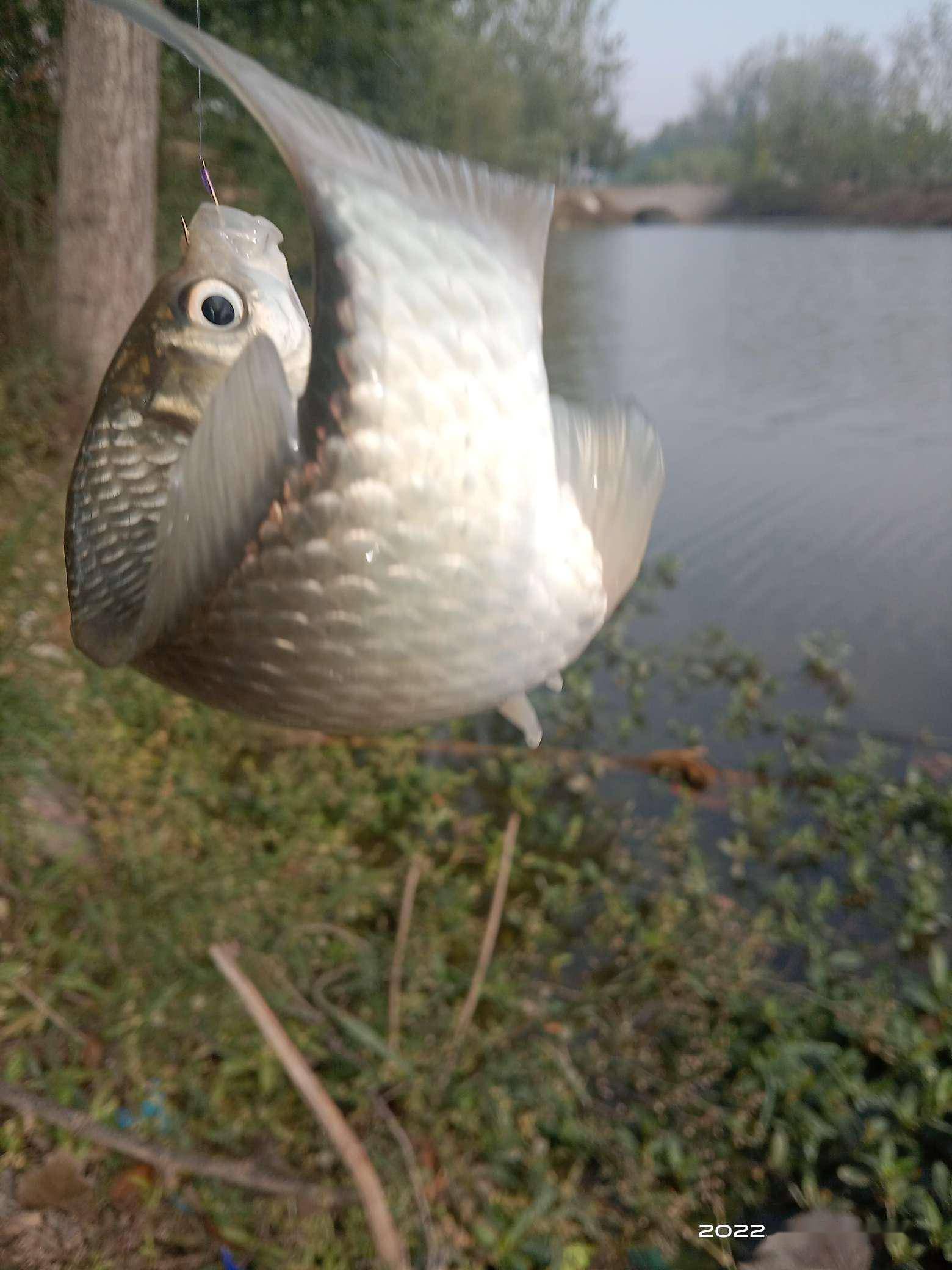 那就是致命的诱惑！野钓想空军都难