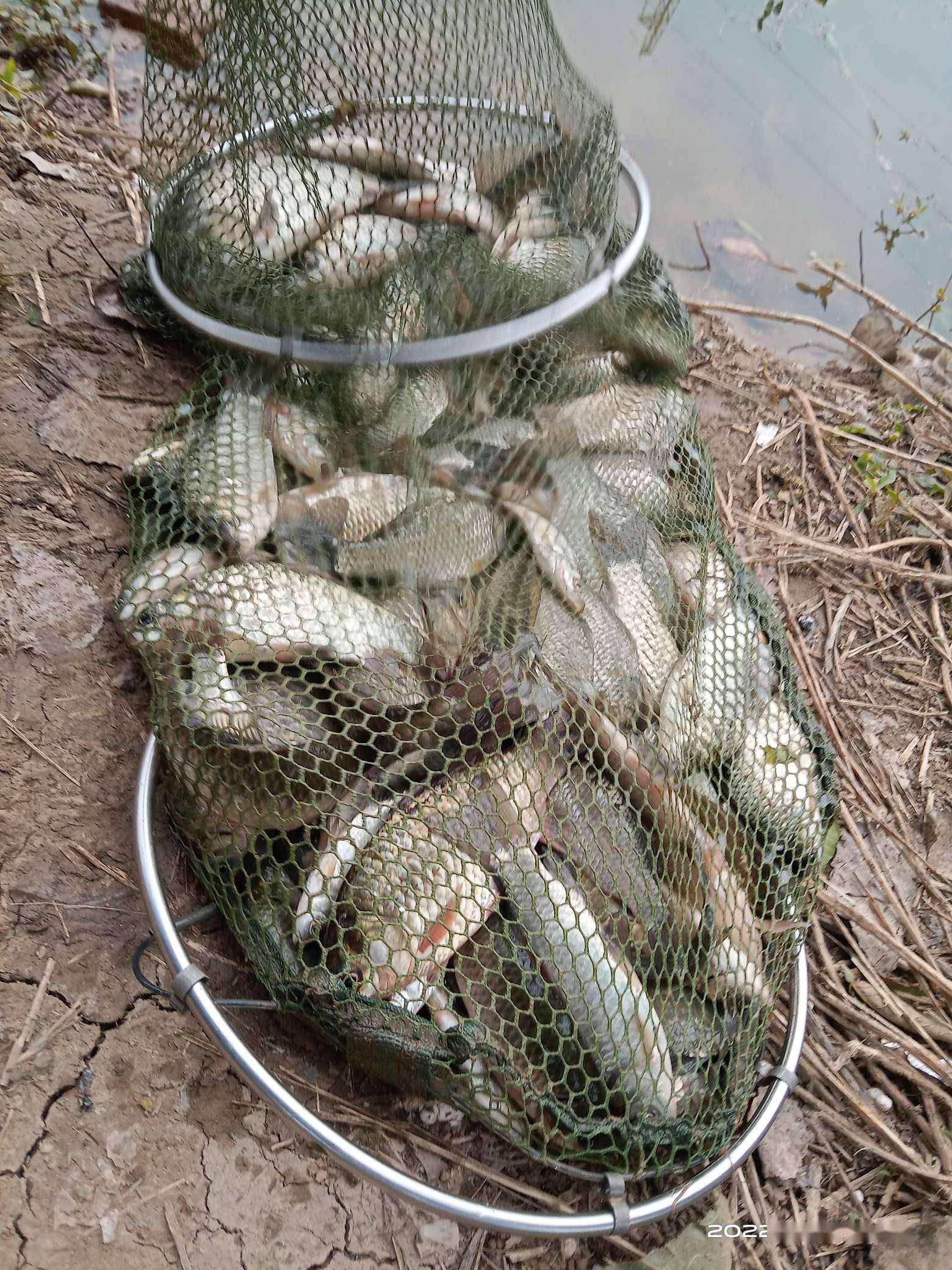 那就是致命的诱惑！野钓想空军都难