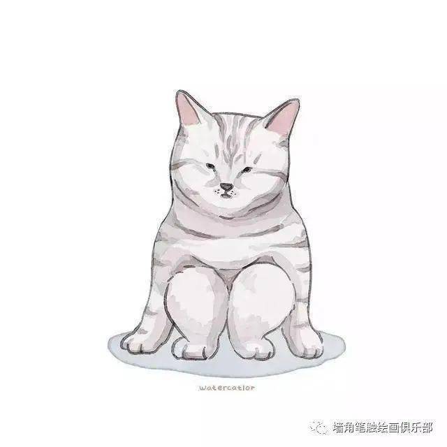 参考之资·艺‖ 猫奴画师将网红“沙雕”猫酿成插画后，胜利吸粉20万！