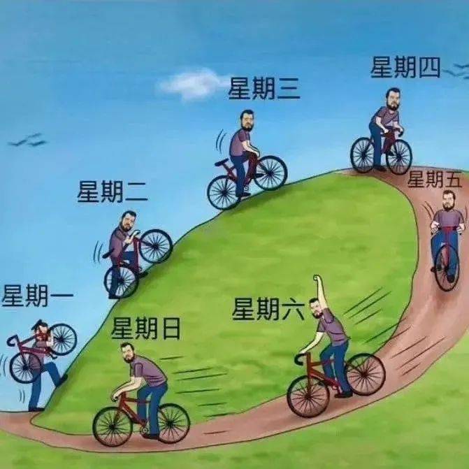 今日表情包,10-14_树冠_空间_拼图