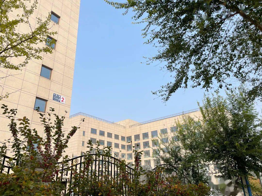 关于北京协和医院、石景山区黄牛办理住院，跑腿挂号24小时服务的信息