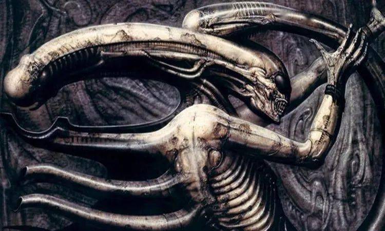 这可能是我推荐过,最血腥最猎奇的游戏._血肉_谜题_东西