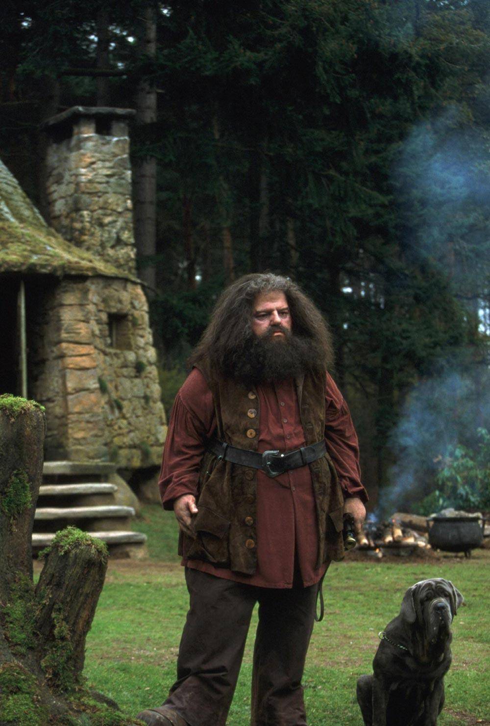 《哈利波特》「海格」robbie coltrane病逝 三年前曾有一个愿望