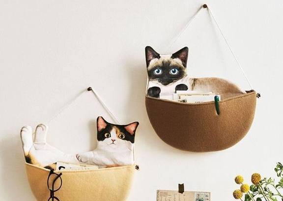 日本这家猫咪"情趣"店,900万猫奴直呼过瘾:老板来十二个橘_小猫_收纳