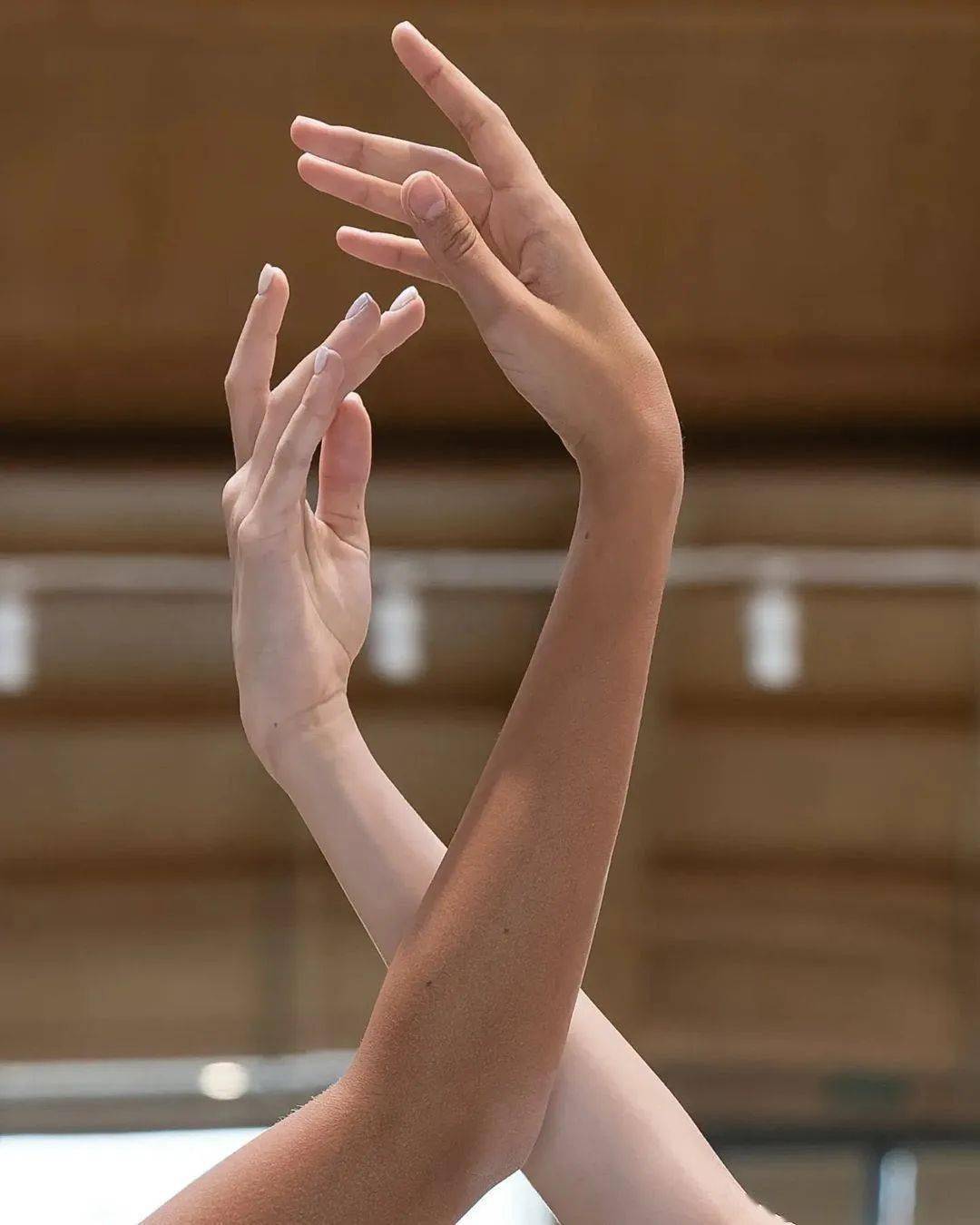 芭蕾手势手指怎么摆图片