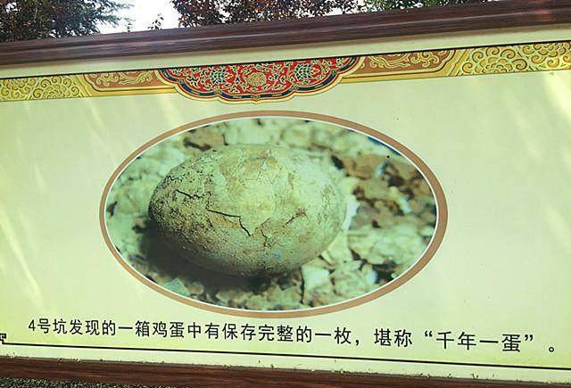 挖出千年一蛋和西汉第一编钟，洛庄汉王陵公园如今样子超出想象