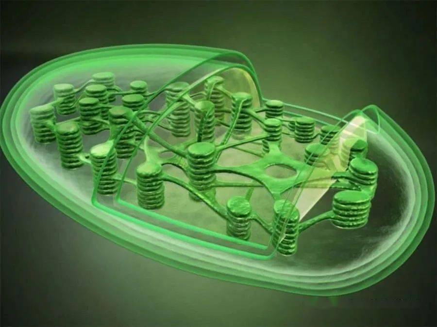 生物备课:生物美图素材_分子结构_细胞_作用