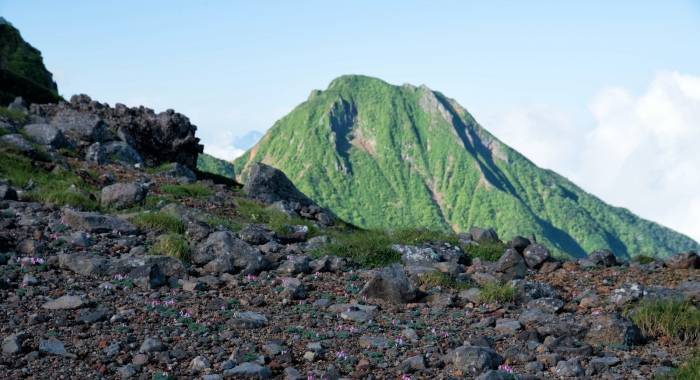 电热毯取暖器热泵出口大涨,今冬国内市场厂商能抢到机会吗?-家电圈官网