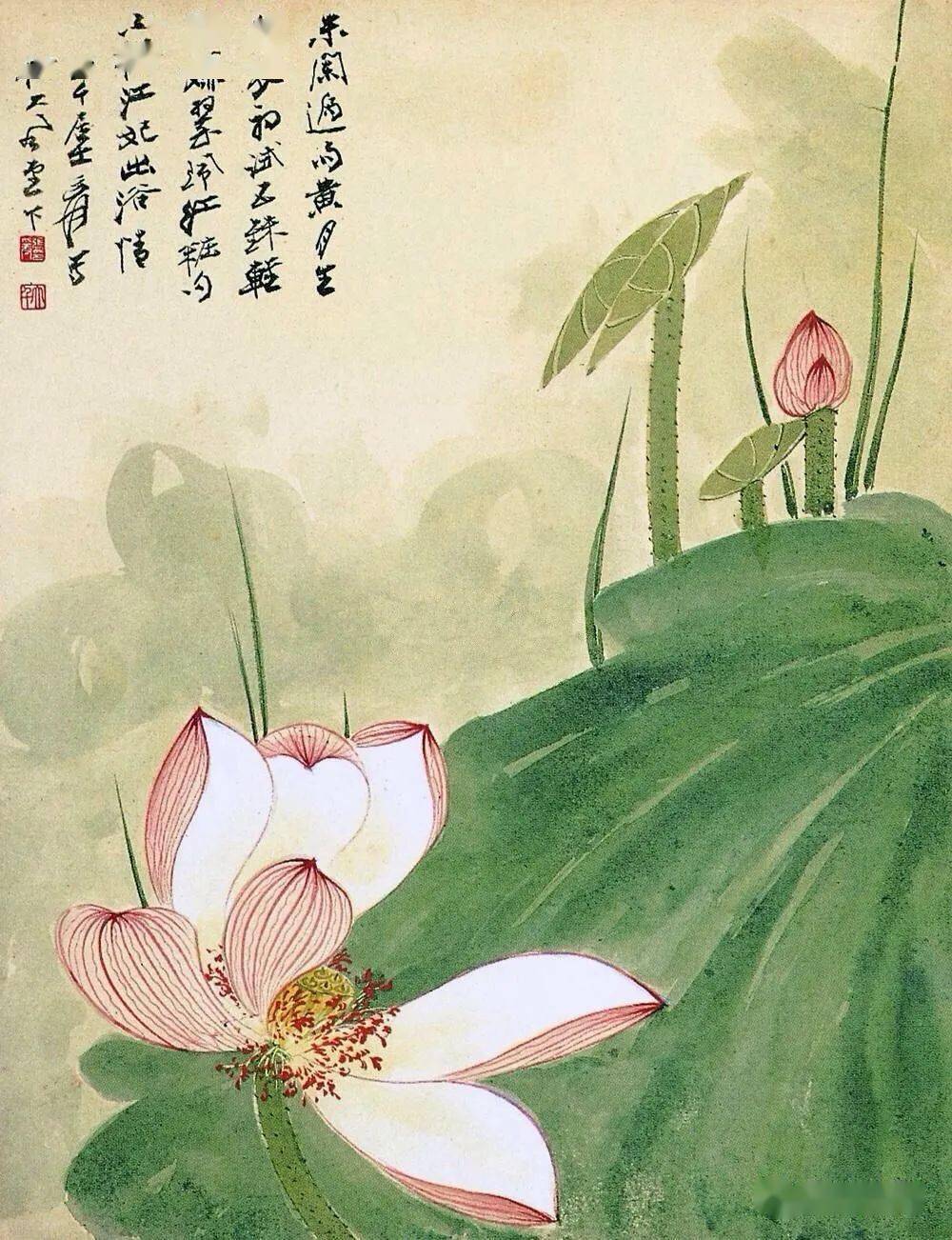 大千 荷花圖 张大千荷花图
