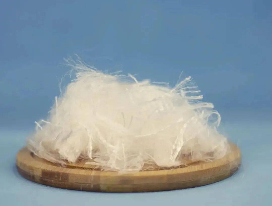 海藻,海藻,神奇的海藻!_纤维_纱线_应用