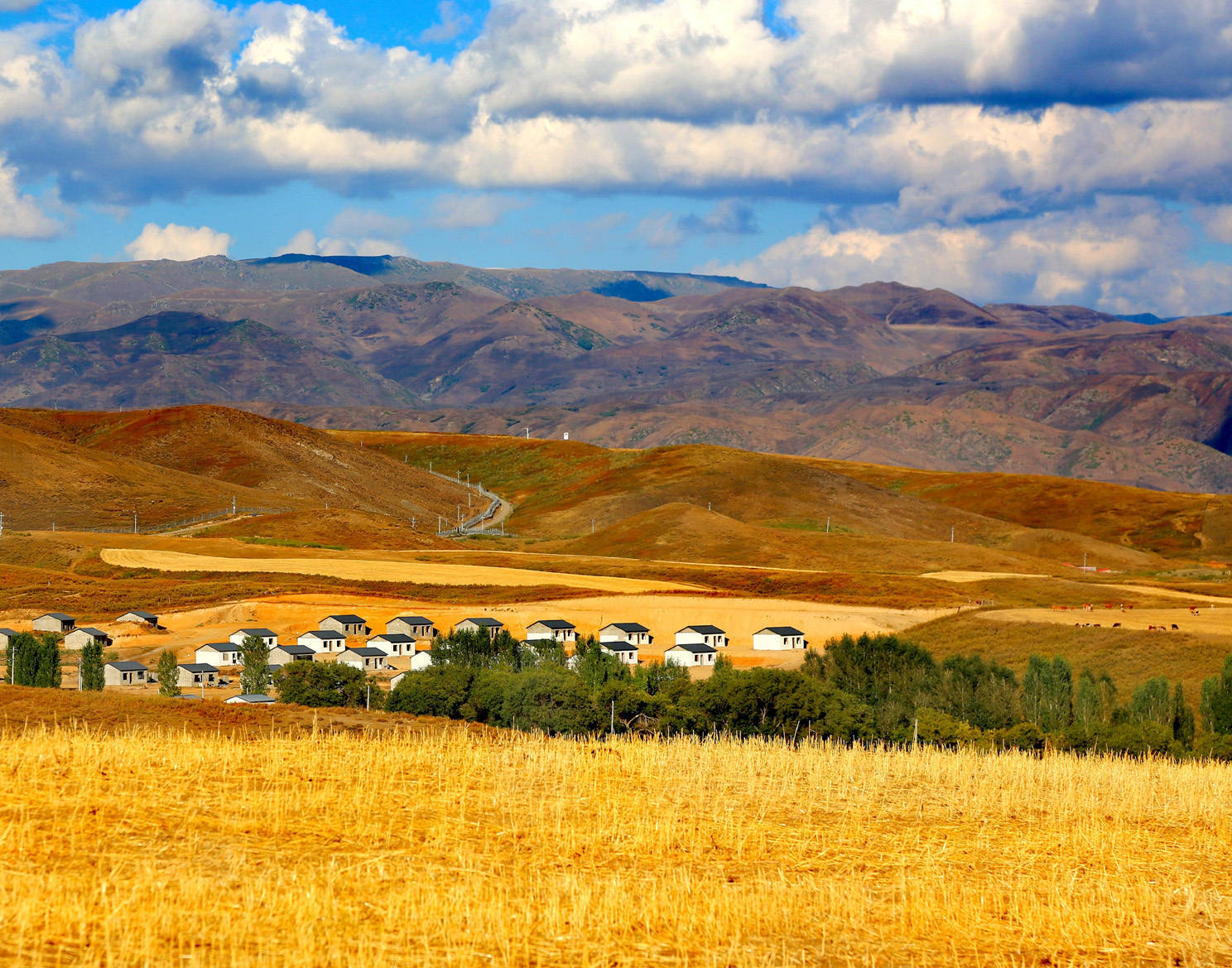 新疆塔城:塔尔巴哈台山的秋日画卷_溢彩_北山_铁列克提