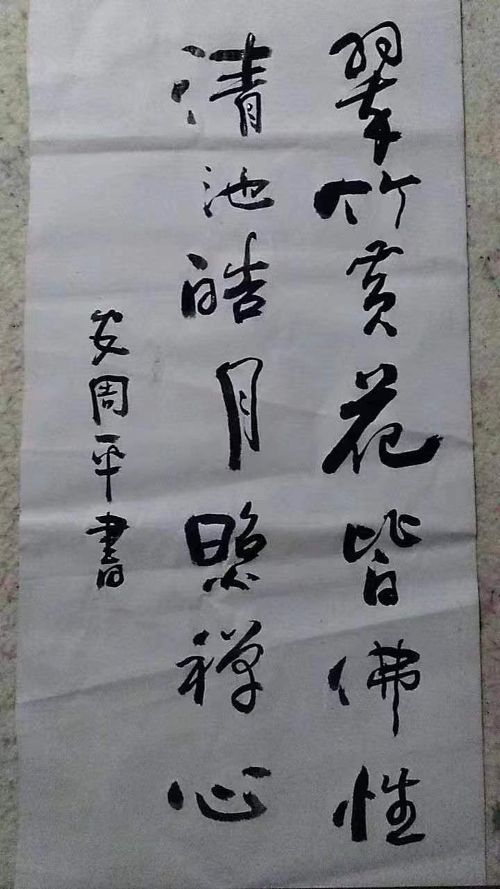 中国书法家协会会员安周平书法鉴赏_大赛_作品_获奖