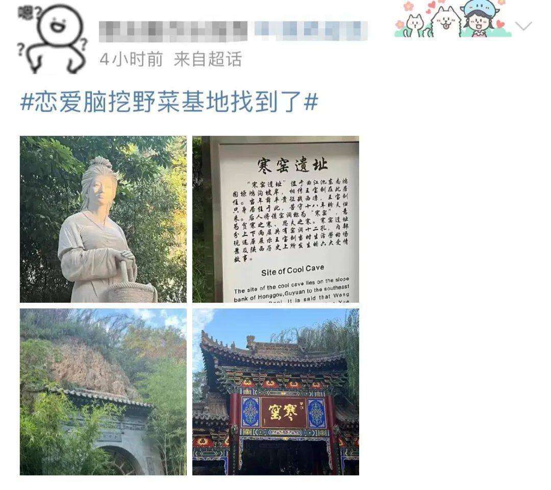 4分烂剧女主，突然火成了“劝退爱情脑”巨匠