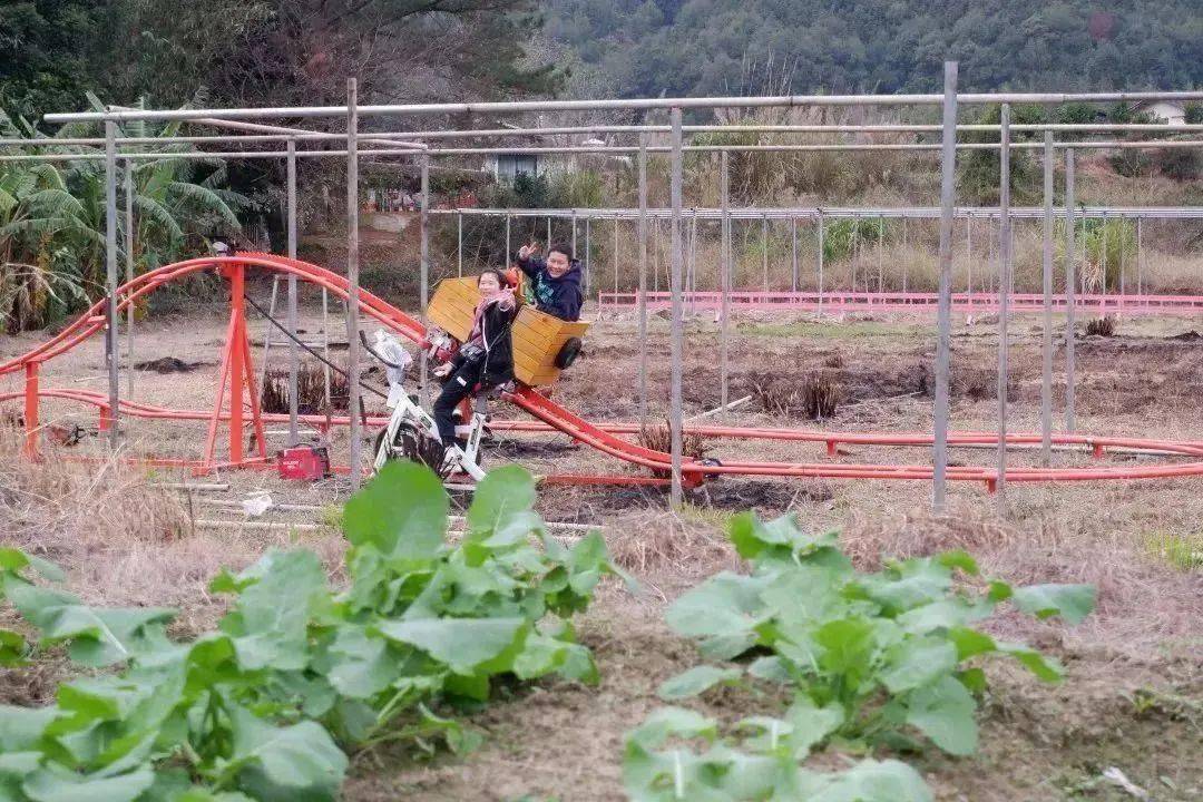 露营野餐，种菜摘果，过神驰的生活