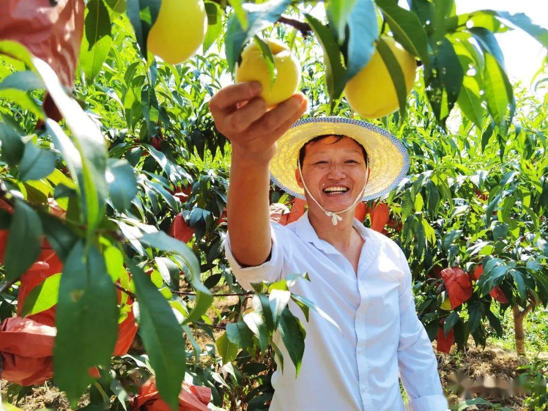 人民笑脸·时代答卷 | 酒都百姓笑脸,见证幸福生活_种植_村民_九仓镇