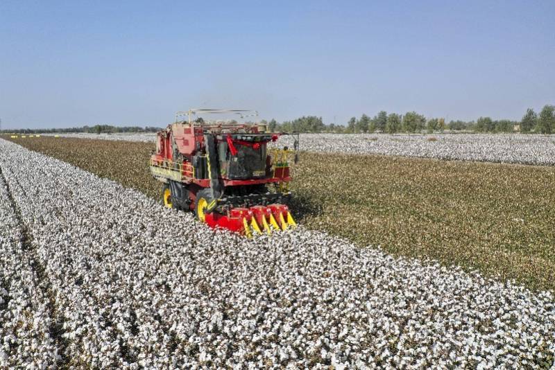 新疆棉花机械化率图片