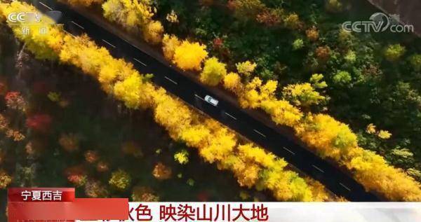 宁夏西吉迎来最绚丽的季节 五彩秋色映染山川大地