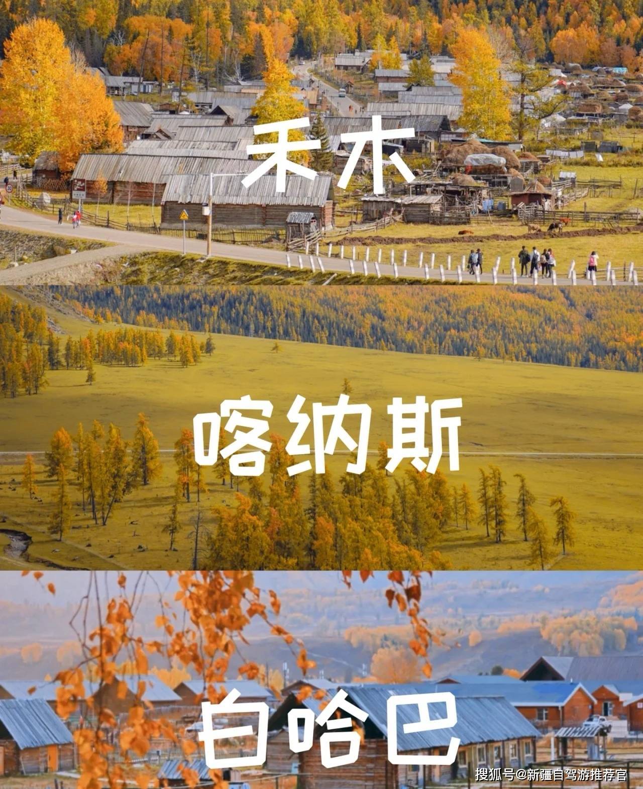 喀纳斯｜禾木｜白哈巴｜北疆秋季｜楼兰客租车公司